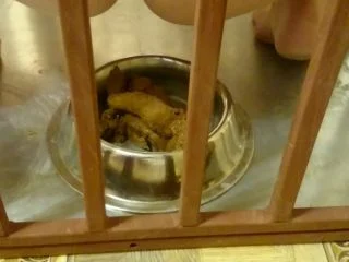 Brown Wife – Beautiful Dog Part 2 screenshot 3
