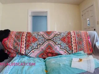 Layla Lee – Laylas First Poop Sandwich screenshot 7