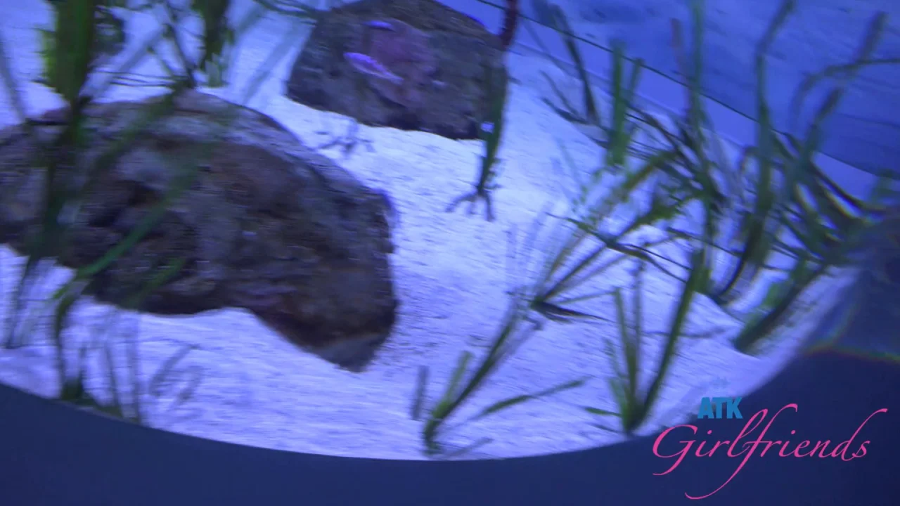 Lana Gee – Pee Glass
