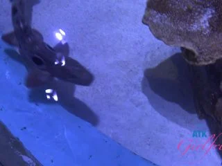 Lana Gee – Pee Glass screenshot 7