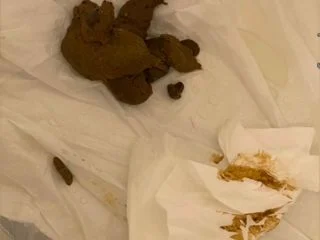 Brownsensations – Random Shitting 1 screenshot 6