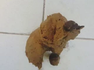PottyQueen – One Bite screenshot 7