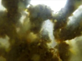 Janet – Underwater Creamy Toilet Poop screenshot 7