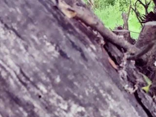 Alice Fairy – Secretly Filmed When Pissing screenshot 7