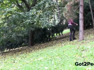 PineWood screenshot 2