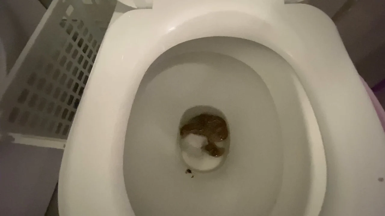AliceTop – My Fat Nice Poop
