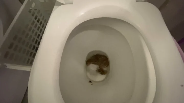 AliceTop – My Fat Nice Poop