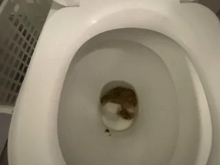 AliceTop – My Fat Nice Poop screenshot 5