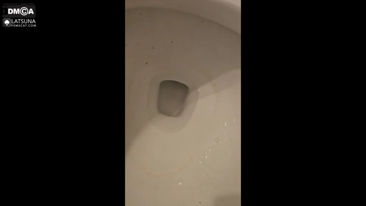 LaTsuna – Toilet Miracle