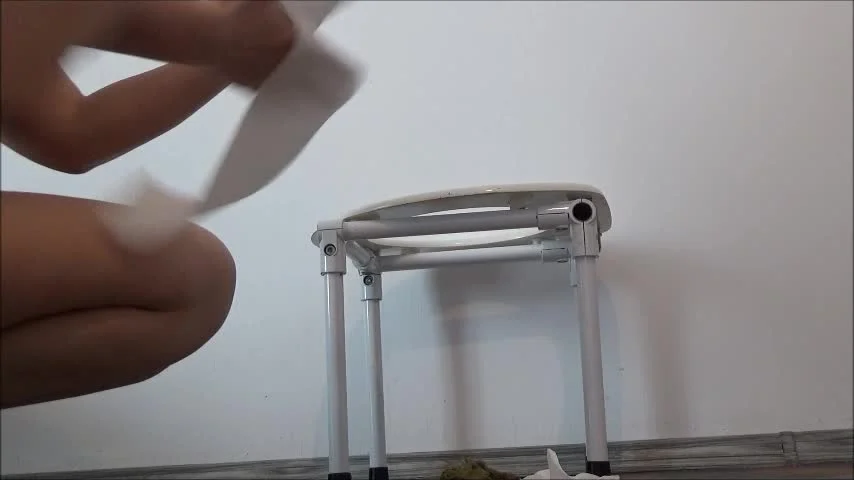 Potty Breakfast Pov