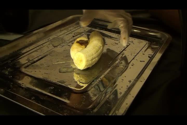 Doctor Antonella Prepares Special Treatment For Her Patient – Crush