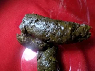 ElenaToilet – Suck Chew And Swallow screenshot 7