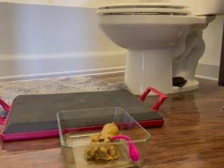 GingerCris – Shit Licker screenshot 2