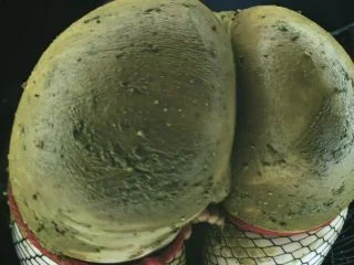 DirtyBetty – WTF Scat Fetish – Give Me Two screenshot 3