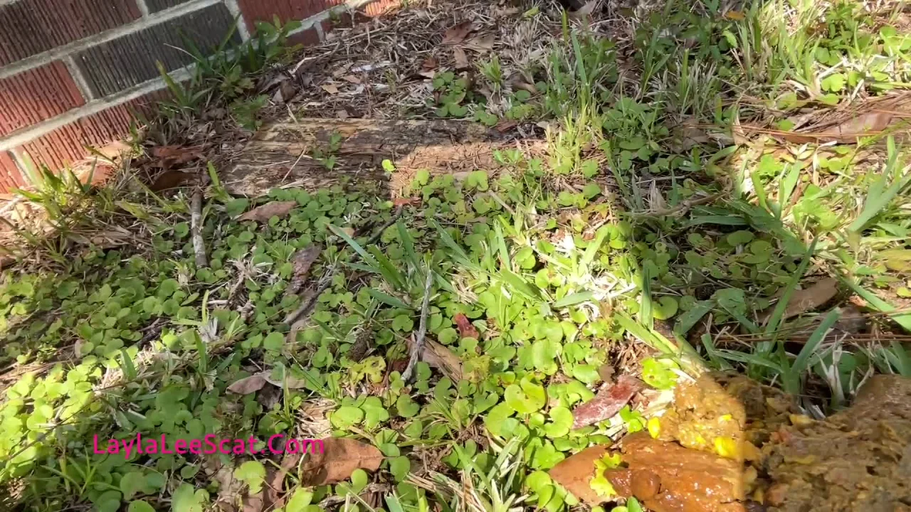 Laylas FIRST Outdoor Poop