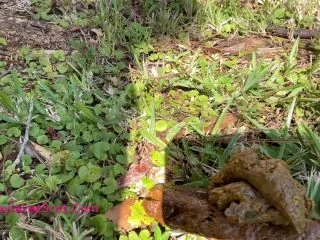 Laylas FIRST Outdoor Poop screenshot 4