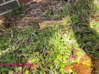 Laylas FIRST Outdoor Poop screenshot 5
