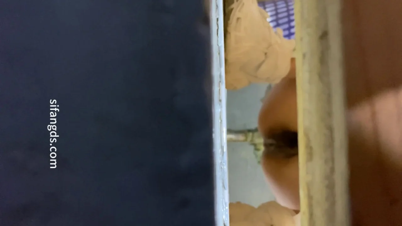 Female Classmates And Teachers Urinating