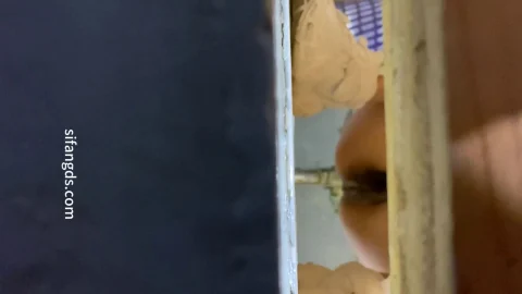 Female_Classmates_and_Teachers_Urinating