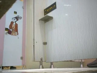 Latest 4K Shopping Mall Bathroom 63 screenshot 6