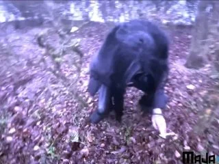 Maja-Bach – Riskanter Piss Auf Dem Rastplatz screenshot 5
