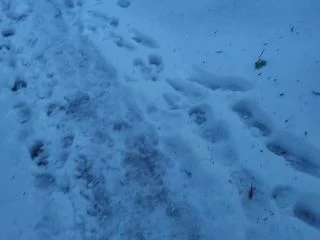 Nerdyfaery – Snow Pee Pee screenshot 3