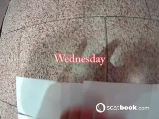 Seven Days Of Shit Week 1 screenshot 2