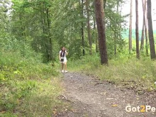 Perfect Golden Arc screenshot 1