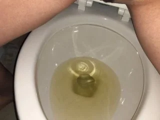 Every Piss I Took Today screenshot 3