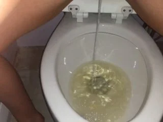 Every Piss I Took Today screenshot 5