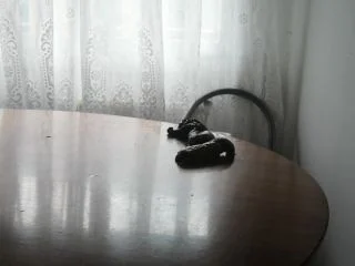 Badkithy – I Shit A Lot On The Table screenshot 4