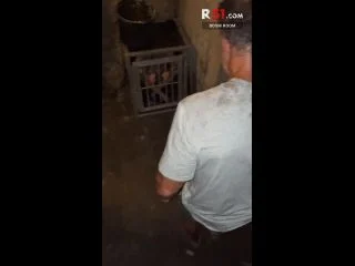 Day 12 – Pet Play Fetish Basement screenshot 7