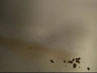 DirtyScatGirl – Homemade Enema From A 1.5 Liter Bottle screenshot 4