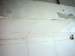 Hot Asians Girls In Toilet New Peeping screenshot 2