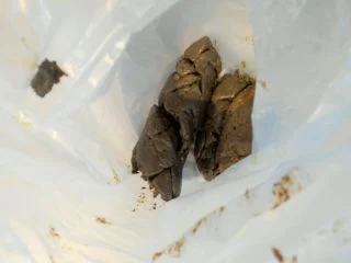 LucyBelle – I Prepare A Poo And Vacuum Packing screenshot 3