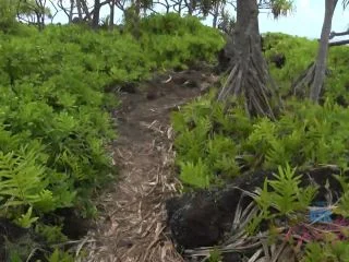 Peeing 3 – Compilation screenshot 4