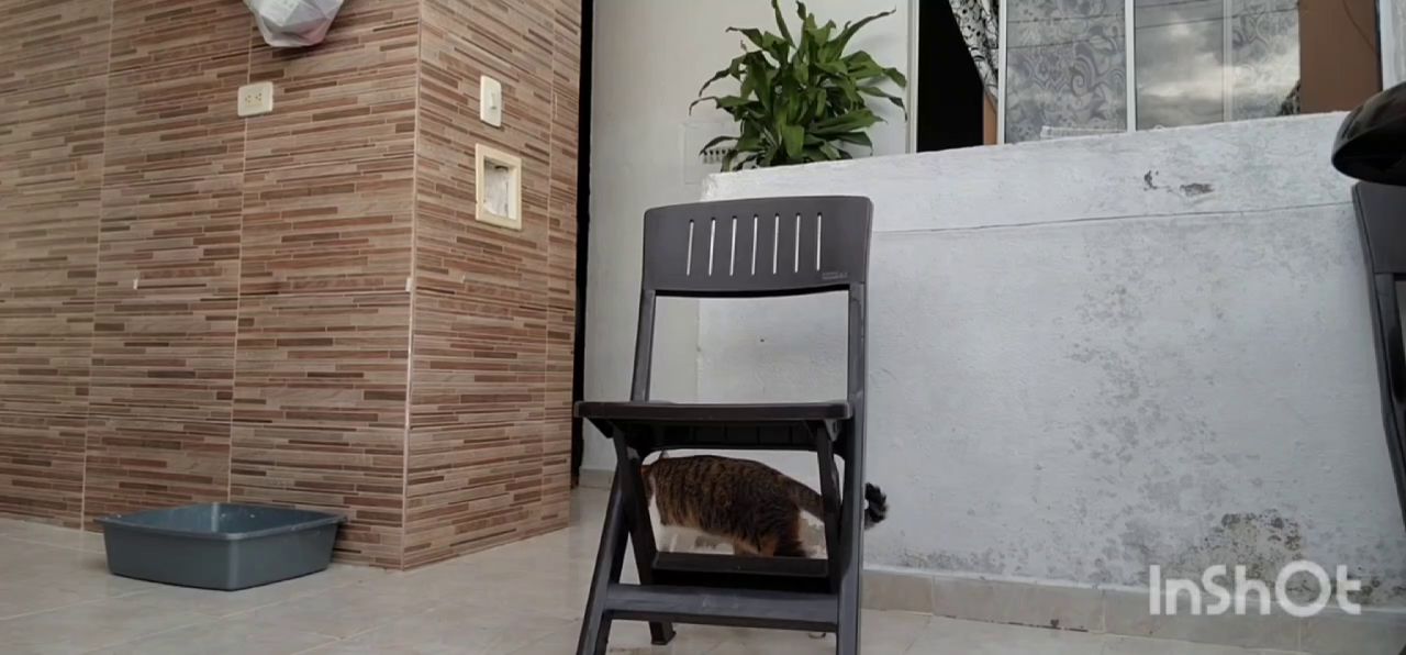 Lauracolin – Chronic Diarrhea