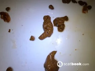 Alice Hatter – Scat Eat 2 screenshot 4