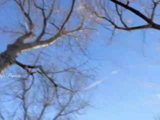 Pulsifer Paprocki – Enema Ladder Shit screenshot 6