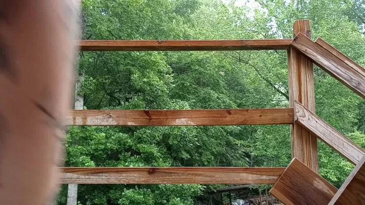 Nature Tinkle – Piss In The Forest