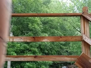 Nature Tinkle – Piss In The Forest screenshot 5
