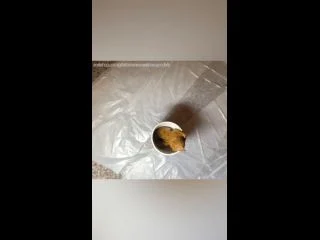 Brownsensations – Shitty Twerking screenshot 4