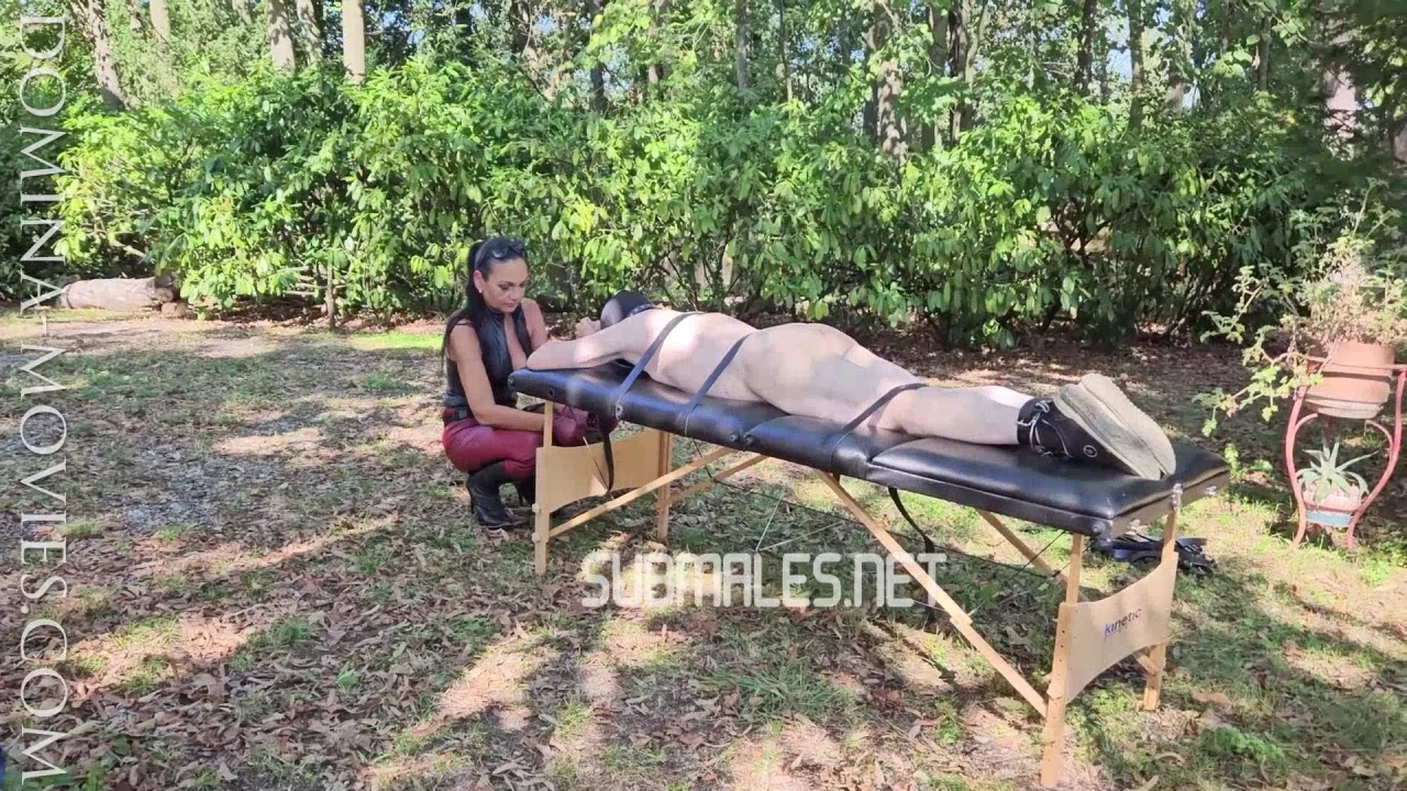 MADAME CATARINA – CRUELEST BEAUTY – The Housebreaker-istress – Chapter THREE