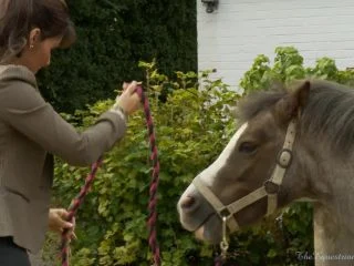 THE EQUESTRIAN LADY – My Two Disobedient Stable Boys screenshot 1