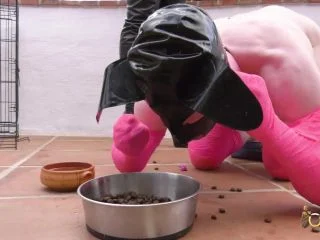 Goddess Serena – Shoe Eating Puppy Gets Punished screenshot 5